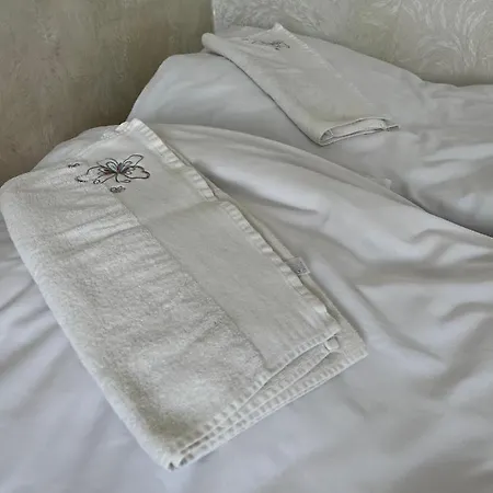 Small Studio Apartament Near City Center - Self Check In Klaipeda Exterior photo